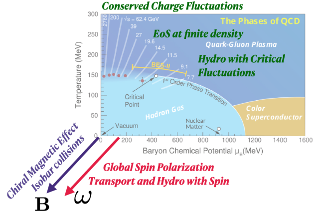 20-1c Figure 1