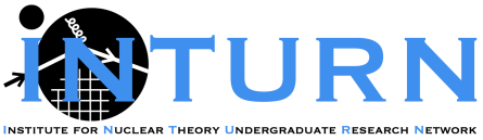 INTURN Logo