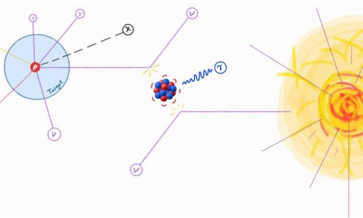 Image credit: Jayden Newstead, University of Melbourne
