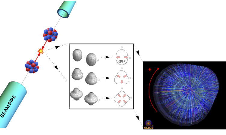High-energy heavy-ion collisions producing a quark gluon plasma whose energy density profile reflects the collective structure of the colliding ions