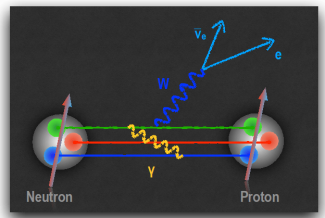 New Insights on the Interplay of Electromagnetism and the Weak Nuclear Force