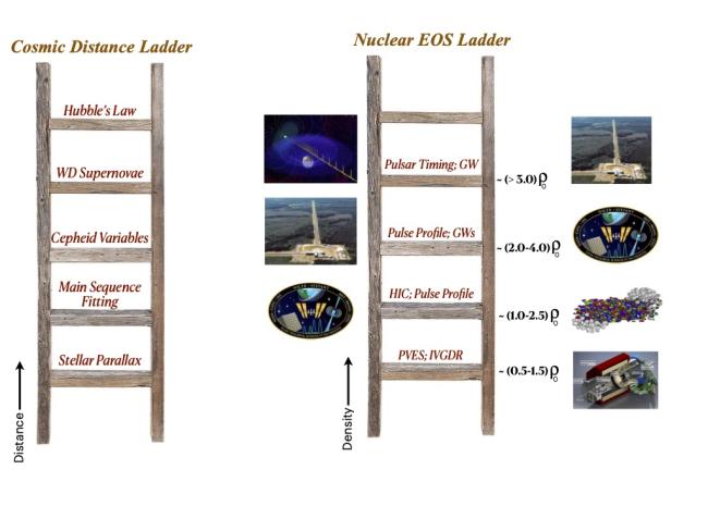 EOSLadder