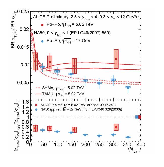 INT 22-3 - Figure 3