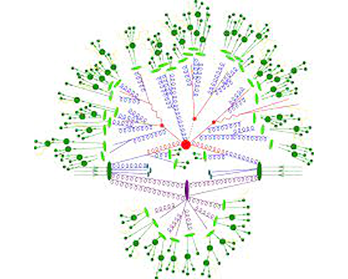 Fragmentation Functions 2