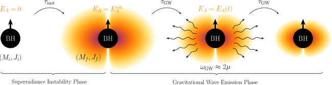 24-90W Figure 5